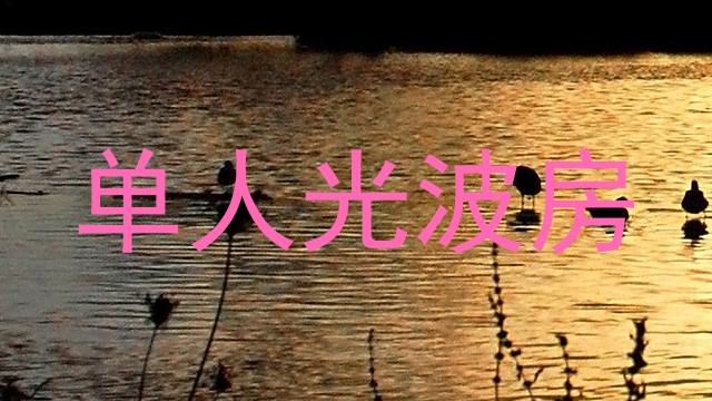 单人光波房