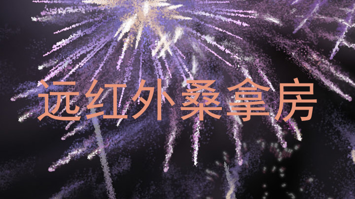 远红外桑拿房