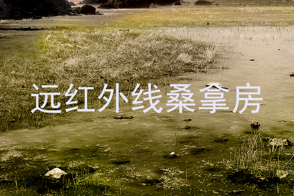 远红外线桑拿房