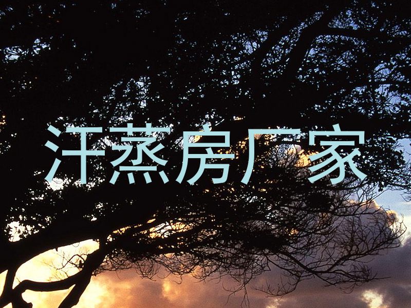 汗蒸房厂家