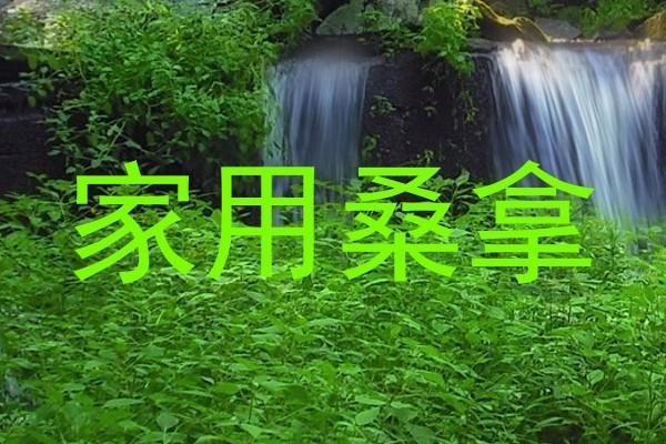 家用桑拿