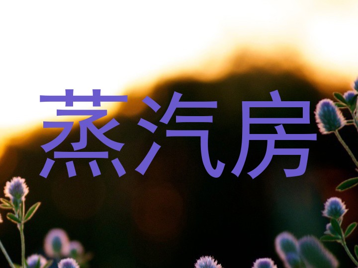 蒸汽房