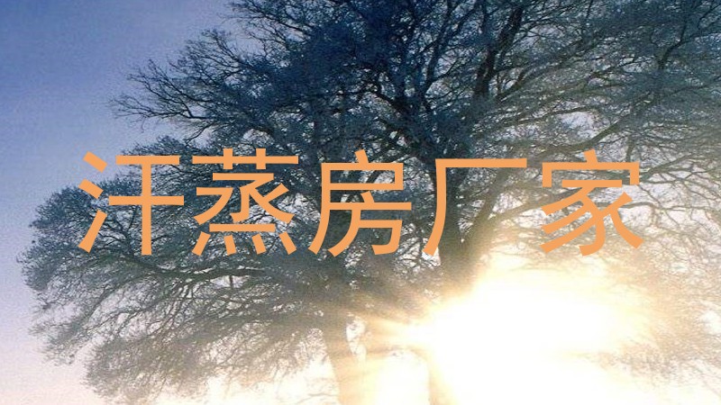 汗蒸房厂家