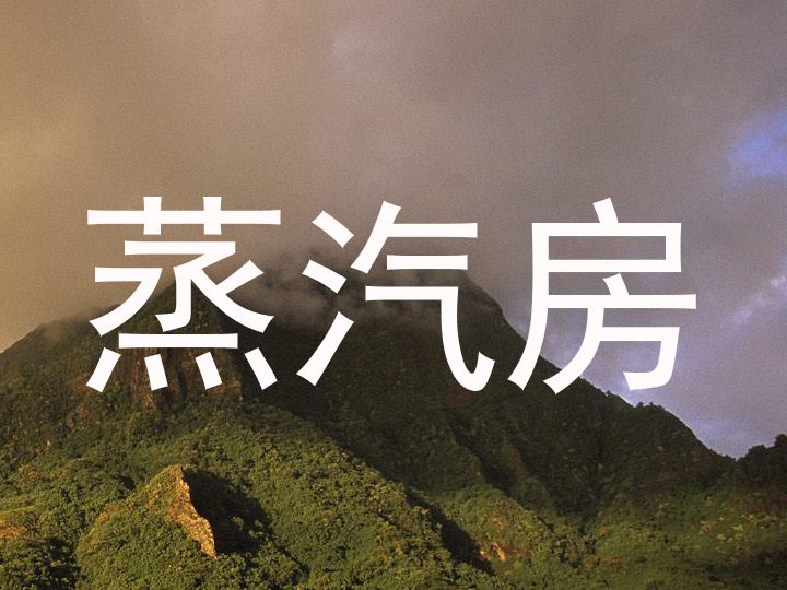 蒸汽房