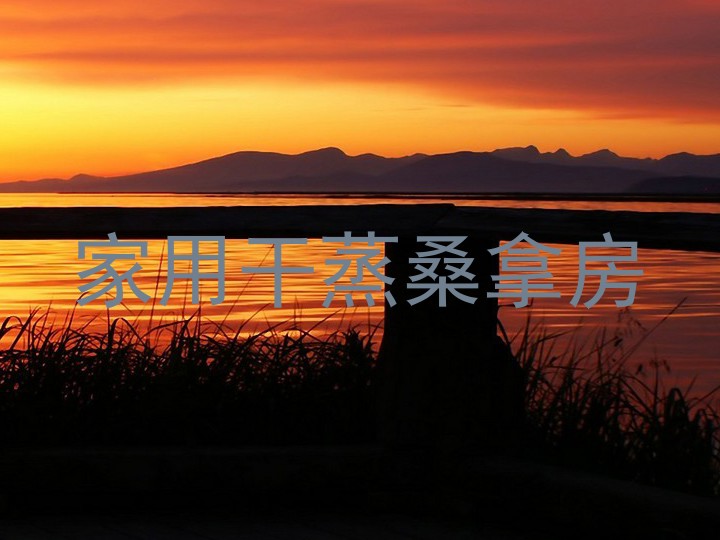 家用干蒸桑拿房