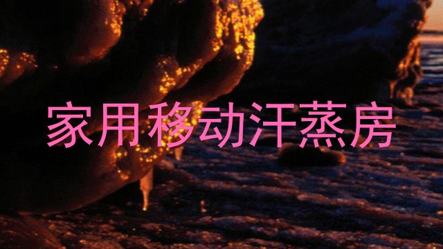 家用移动汗蒸房