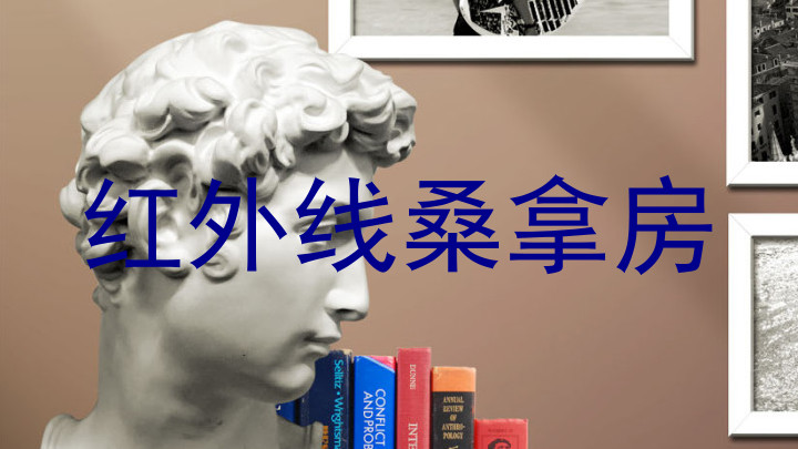 红外线桑拿房