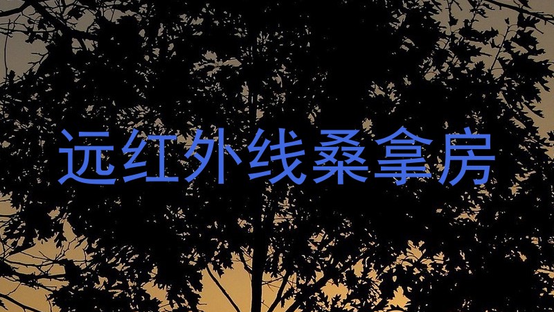远红外线桑拿房