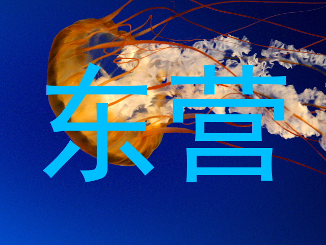 东营