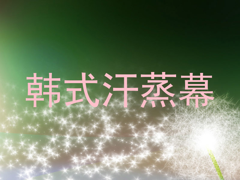 韩式汗蒸幕