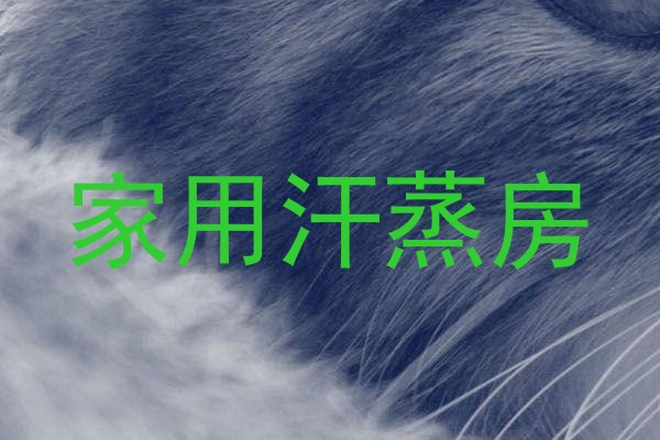 家用汗蒸房