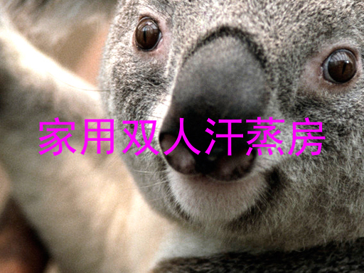 家用双人汗蒸房
