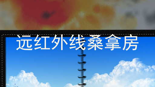 远红外线桑拿房