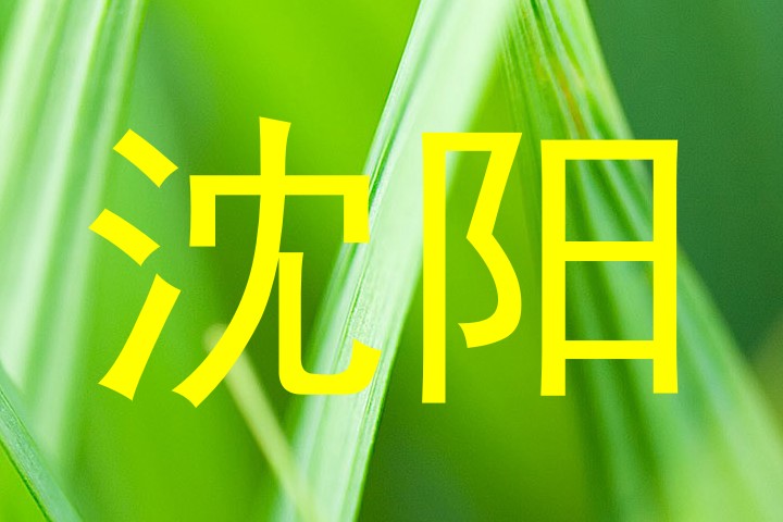 沈阳