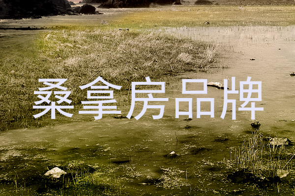 桑拿房品牌