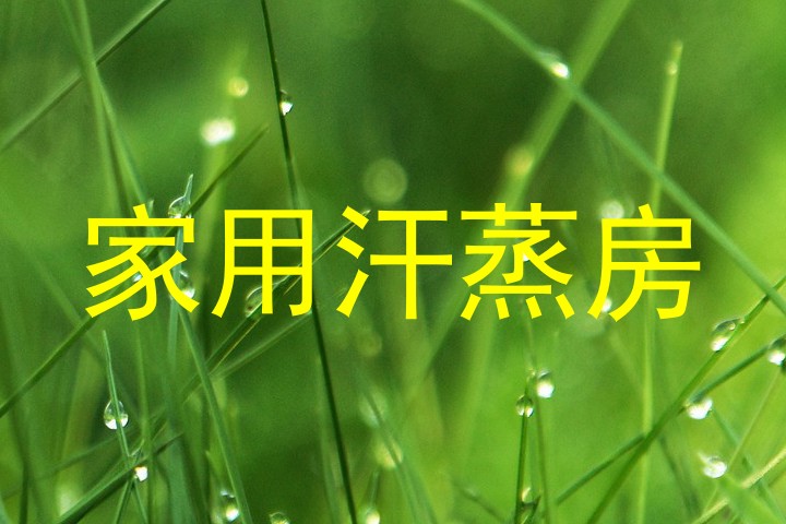 家用汗蒸房