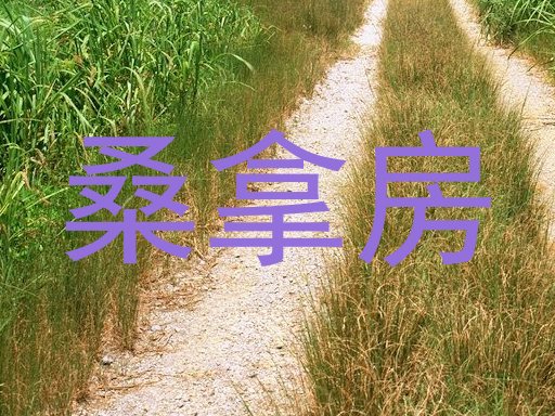 桑拿房