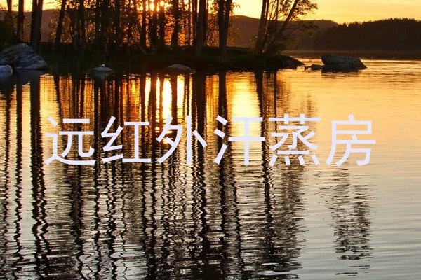 远红外汗蒸房