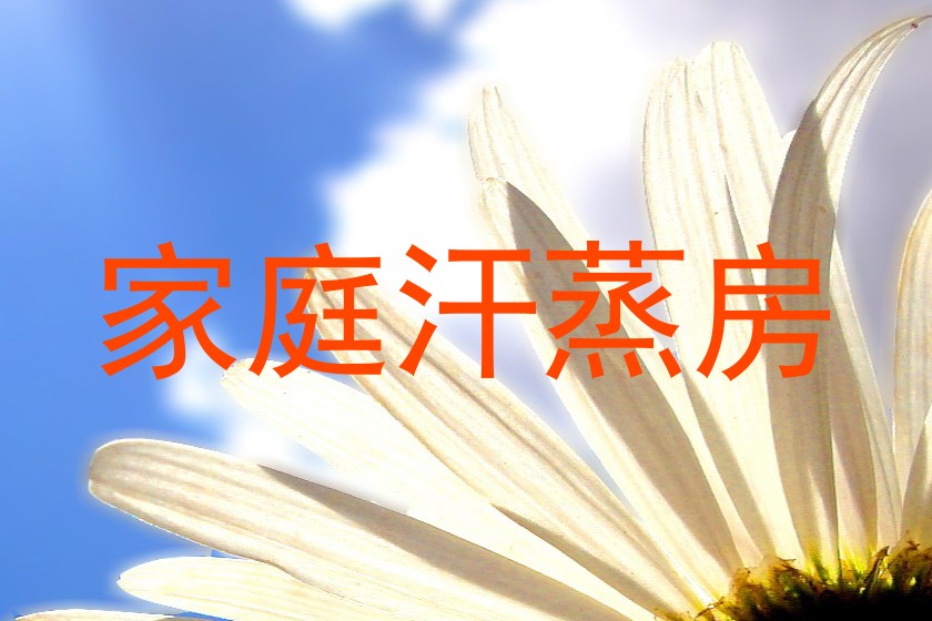 家庭汗蒸房