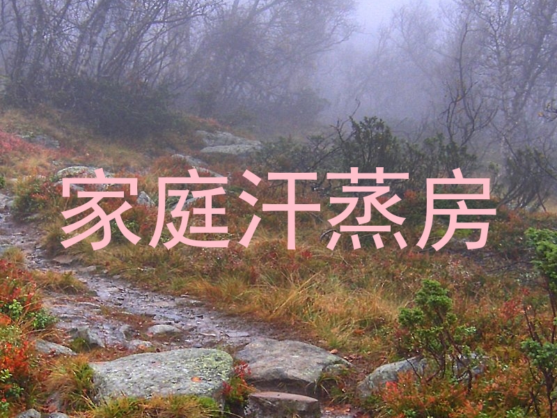 家庭汗蒸房