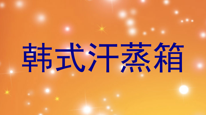 韩式汗蒸箱
