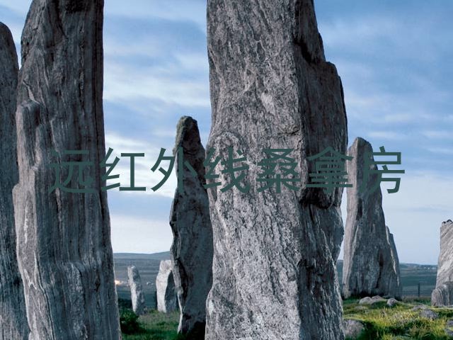 远红外线桑拿房
