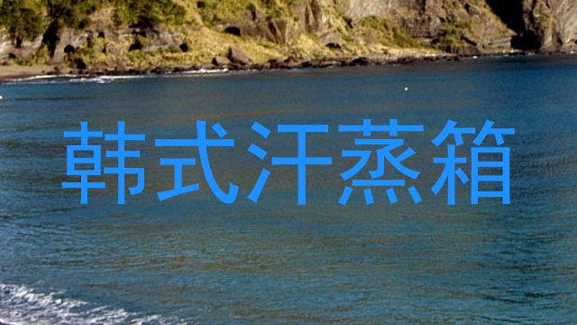 韩式汗蒸箱