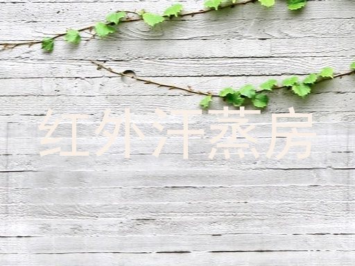 红外汗蒸房