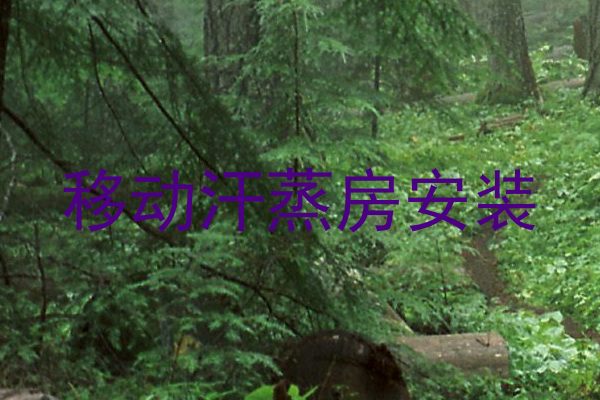 移动汗蒸房安装