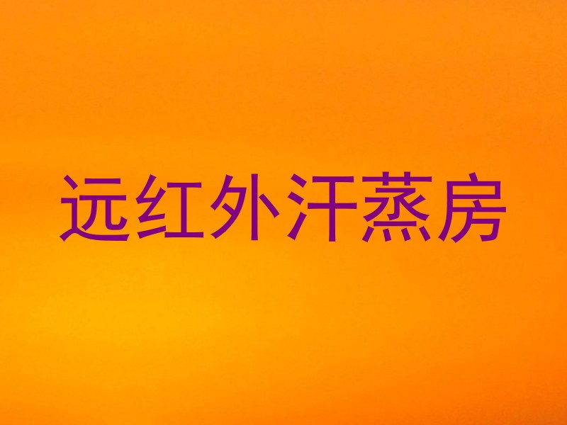 远红外汗蒸房