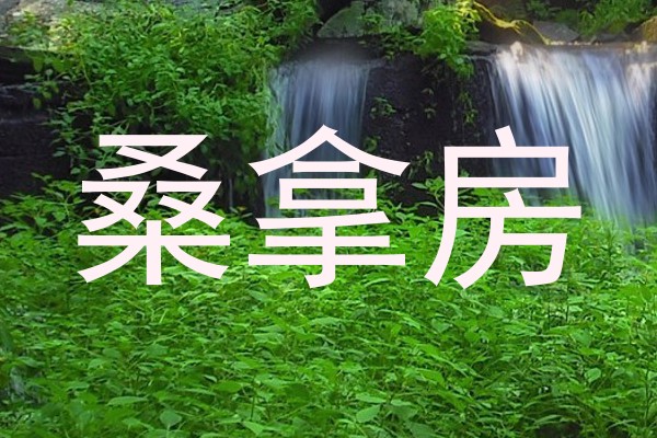 桑拿房