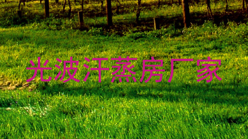 光波汗蒸房厂家