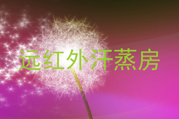 远红外汗蒸房