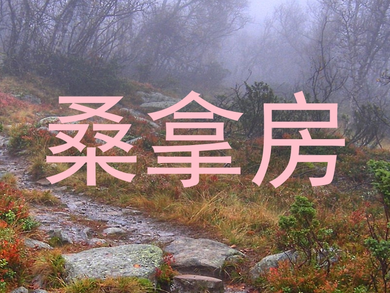 桑拿房