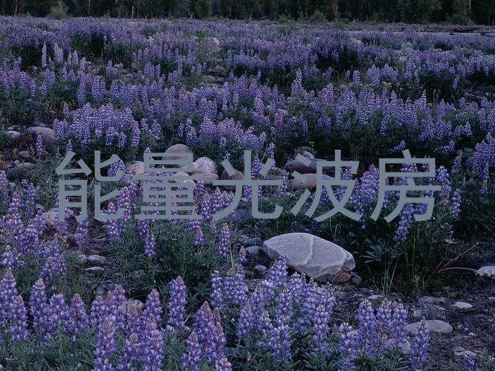 能量光波房