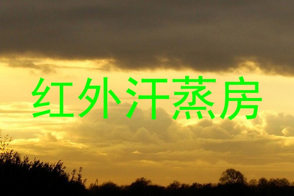 红外汗蒸房