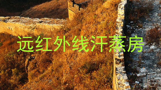 远红外线汗蒸房