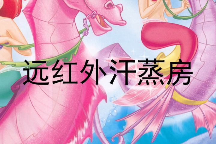 远红外汗蒸房