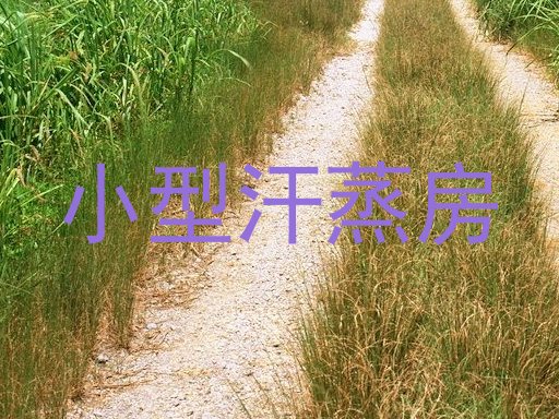 小型汗蒸房