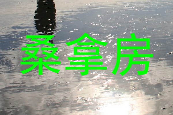 桑拿房