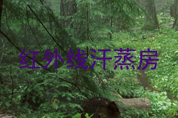 红外线汗蒸房