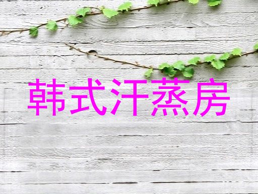 韩式汗蒸房