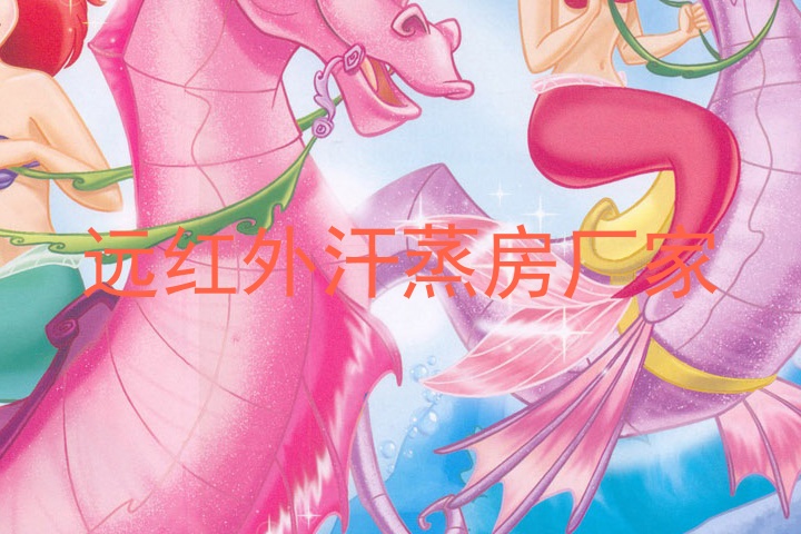 远红外汗蒸房厂家