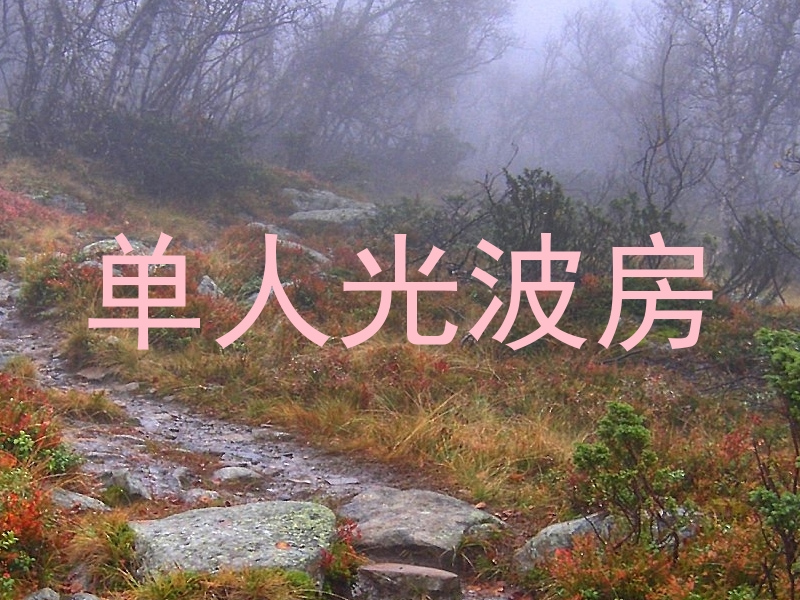 单人光波房
