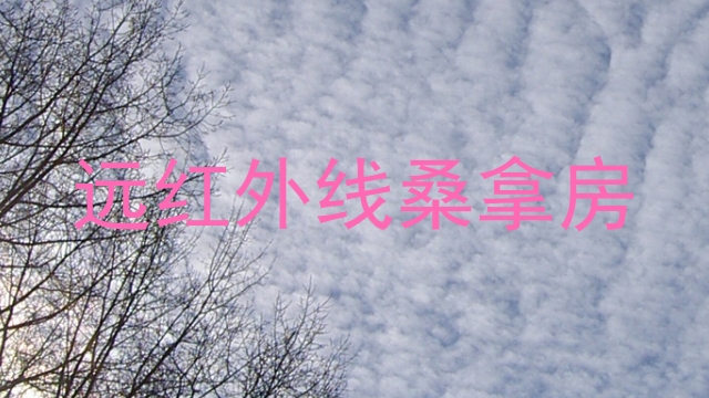 远红外线桑拿房