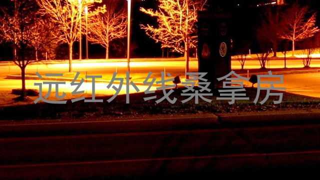 远红外线桑拿房