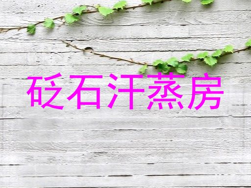 砭石汗蒸房