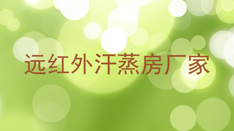 远红外汗蒸房厂家