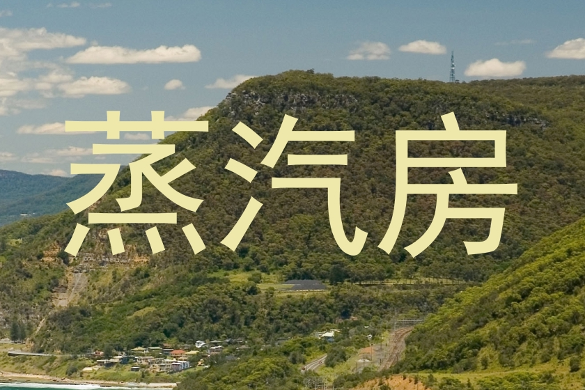 蒸汽房