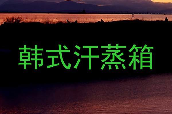 韩式汗蒸箱